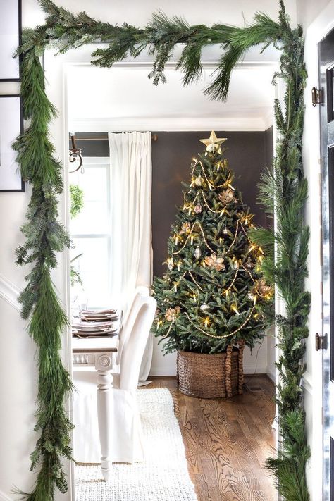 Christmas Tree - History & How to Decorate It - Furniture, Home Decor ...