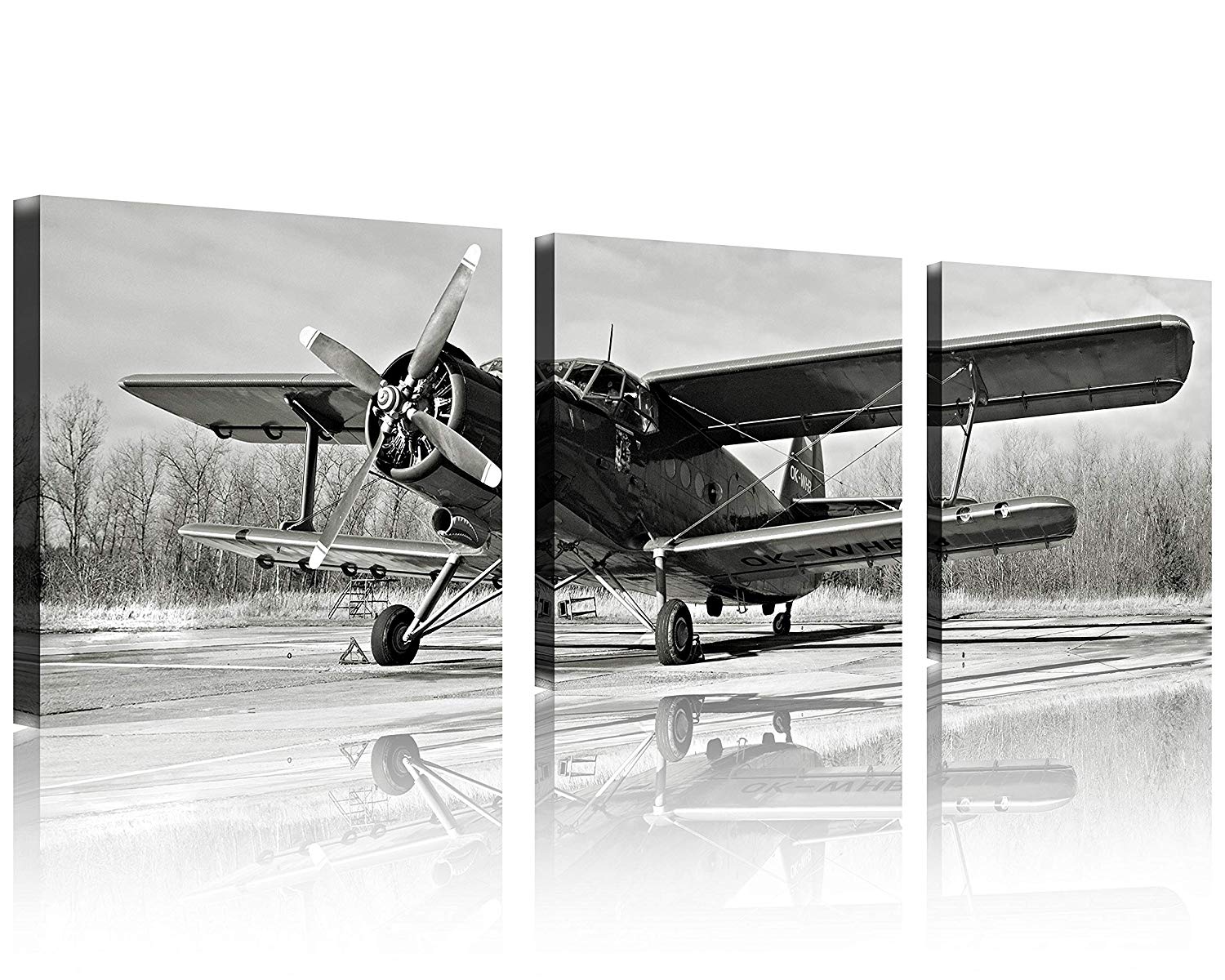 QICAI Black and White Vintage Airplane Wall Art
