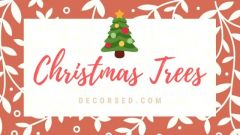 Find out about the Christmas tree’s interesting history! Where did it start? And what does it symbolize? Discover a few tips and tricks on how to decorate your trees. Plus, learn a few Christmas tree crafts!