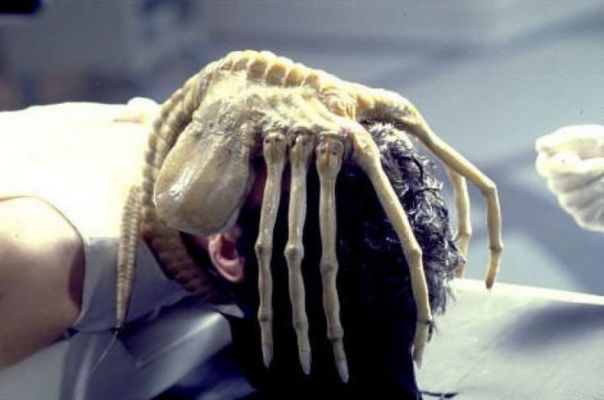 the facehugger