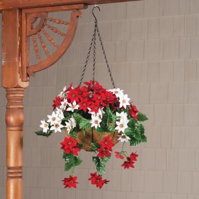 hang poinsettia wood