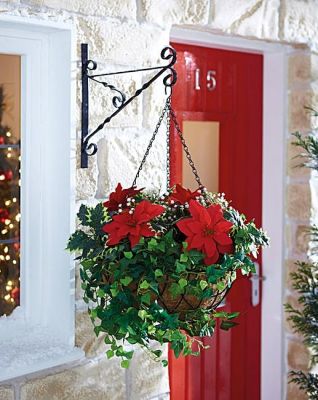 planter hang poinsettia