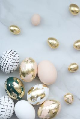 modern eggs