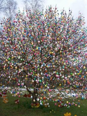 lots of egg tree
