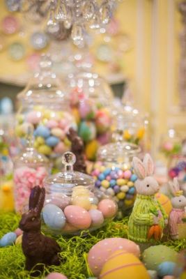 candy wonderland