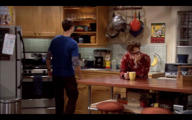 Sheldon and Leonard in their kitchen.